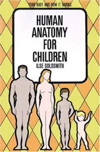 Ilse Goldsmith — Human Anatomy for Children