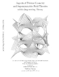 C. Samann — Twistor Geometry, Supersymmetric Field Theories in Supertring Theory