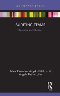 Mara Cameran, Angelo Ditillo, Angela Pettinicchio — Auditing Teams: Dynamics and Efficiency