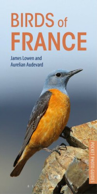 James Lowen, Aurelien Audevard — Birds of France