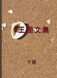 王朔 — 王朔文集