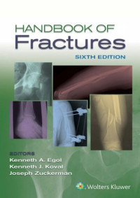 Kenneth Egol — Handbook of Fractures