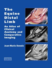 Glass Horse LLC., University of Georgia — The glass horse : elements of the equine distal limb