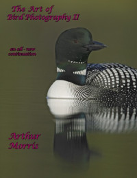 Arthur Morris — The Art of Bird Photography II - An all-new continuation of the classic how-to work