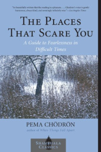 Pema Chödrön — The Places That Scare You: A Guide to Fearlessness in Difficult Times