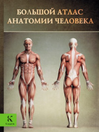 Винсент Перез — Большой атлас анатомии человека