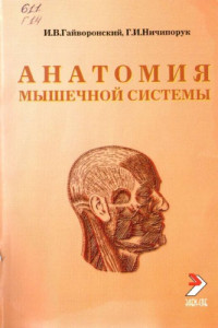 Гайворонский И.В., Ничипорук Г.И. — Анатомия мышечной системы