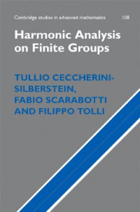 Tullio Ceccherini-Silberstein, Fabio Scarabotti, Filippo Tolli — Harmonic analysis on finite groups: representation theory, Gelfand pairs and Markov chains