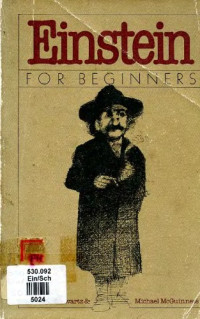 Schwartz J., McGuinness M. — Einstein for beginners