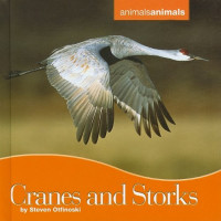 Steven Otfinoski — Cranes and Storks (Animals Animals)