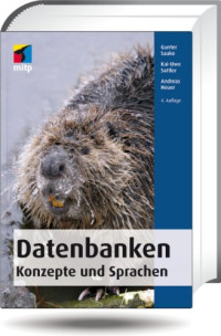 Gunter Saake, Kai-Uwe Sattler, Andreas Heuer — Datenbanken: Konzepte und Sprachen, 4. Auflage