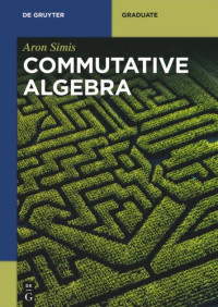 Aron Simis — Commutative Algebra