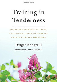 Dzigar Kongtrul, Pema Chodron — Training in Tenderness: Buddhist Teachings on Tsewa, the Radical Openness of Heart That Can Change the World