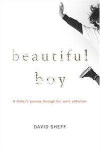 David Sheff — Beautiful Boy: A Father's Journey Through His Son's Addiction