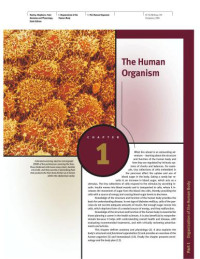 Seeley R., Stephens T., Tate Ph. — Anatomy and Physiology