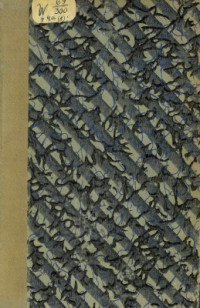 Брокгауз Ф.А., Ефрон И.А. (издатели) — Энциклопедический словарь. Т. 4а (8): Часть III из 4 Бос - Бунчук.