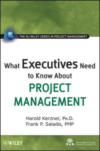 Harold Kerzner, Frank P. Saladis — What Executives Need to Know About Project Management