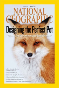 National Geographic Magazine — National Geographic Magazine March 2011 - Designing the Perfect Pet 219 3