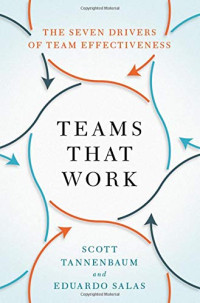 Tannenbaum, Scott, Salas, Eduardo — Teams That Work: The Seven Drivers of Team Effectiveness