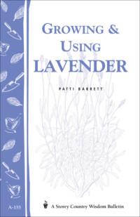 Patricia R. Barrett — Growing & Using Lavender