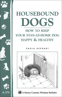 Paula Kephart — Housebound dogs: how to keep your stay-at-home dog happy & healthy