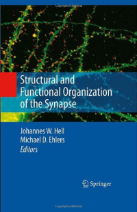 Johannes W. Hell (auth.), Johannes W. Hell, Michael D. Ehlers (eds.) — Structural And Functional Organization Of The Synapse