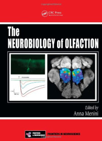 Anna Menini — The Neurobiology of Olfaction (Frontiers in Neuroscience)
