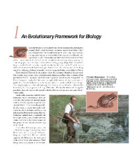 Bill Purves, David Sadava — Life The Science of Biology