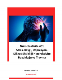 Mahmut Abi, erkekadam.org — Andrew Huberman Notları 4 - Nöroplastisite 401 – Stres, Kaygı, Depresyon, Dikkat Eksikliği ve Hiperaktivite Bozukluğu ve Travma