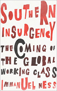 Immanuel Ness — Southern Insurgency: The Coming of the Global Working Class