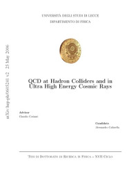 Cafarella, A — QCD at hadron colliders and in Ultra High Energy Cosmic Rays