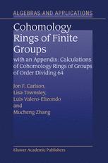 Jon F. Carlson, Lisa Townsley, Luis Valeri-Elizondo, Mucheng Zhang (auth.) — Cohomology Rings of Finite Groups: With an Appendix: Calculations of Cohomology Rings of Groups of Order Dividing 64