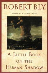Robert Bly — A Little Book on the Human Shadow