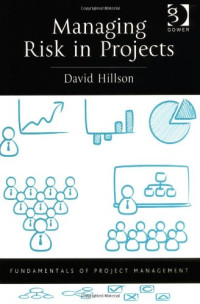 David Hillson — Managing Risk in Projects