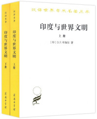 D.P.辛加尔 — 印度与世界文明（下）