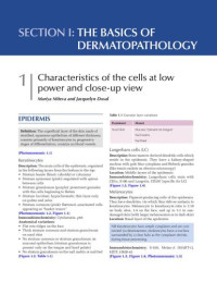 Mariya Miteva — A Notebook of Dermatopathology: Mastering the Basics, Pattern Recognition, and Key Pathologic Findings