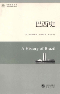 E.布拉德福德•伯恩斯 — 巴西史