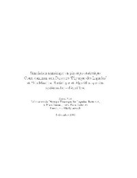 Viot P. — Simulation numerique en physique statistique