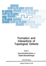 T. W. B. Kibble (auth.), Anne-Christine Davis, Robert Brandenberger (eds.) — Formation and Interactions of Topological Defects: Proceedings of a NATO Advanced Study Institute on Formation and Interactions of Topological Defects, held August 22–September 2, 1994, in Cambridge, England