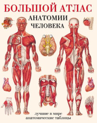  — Большой атлас анатомии человека: лучшие в мире анатомические таблицы