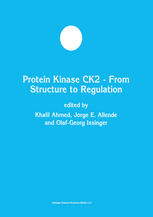Barbara Guerra, Karsten Niefind (auth.), Khalil Ahmed, Olaf-Georg Issinger, Jorge E Allende (eds.) — Protein Kinase CK2 — From Structure to Regulation