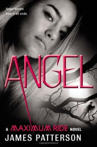 James Patterson — Angel