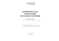 Гайворонский, Иван Васильевич;Ничипорук, Геннадий Иванович — Клиническая анатомия сосудов и нервов : учебное пособие для факультетов подготовки врачей