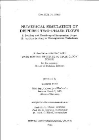 Bosse T. — Numerical Simulation of Disperse Two-phase Flows