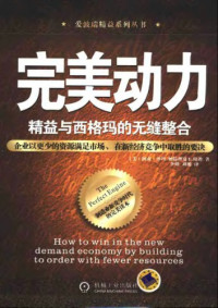 阿南·沙玛 — 完美动力 : 精益与西格玛的无缝整合