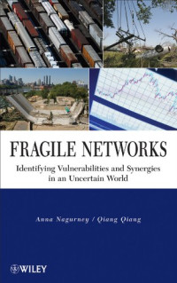 Anna Nagurney, Qiang Qiang — Fragile Networks: Identifying Vulnerabilities and Synergies in an Uncertain World