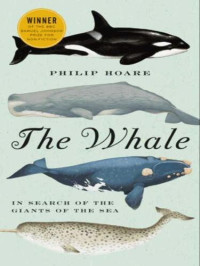 Philip Hoare — The Whale: In Search of the Giants of the Sea