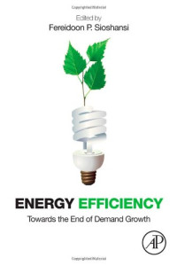 Fereidoon P. Sioshansi — Energy Efficiency: Towards the End of Demand Growth