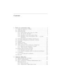 Flaminio Flamini — Algebraic geometry 1