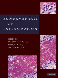 Serhan Charles N. PhD, Ward Peter A. MD, Gilroy Derek W. PhD, Ayoub Samir S. — Fundamentals of Inflammation